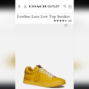 Coach Lowline Luxe Top Sneaker